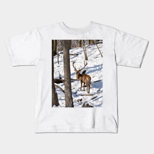 Red Deer In Winter Woods Kids T-Shirt